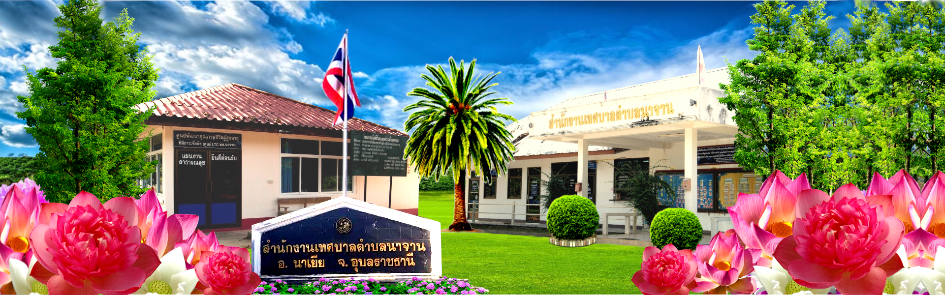 พื้นหลัง